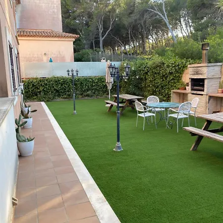 Xic Taronja Can Picafort (Mallorca)